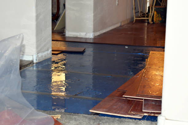 Professional Burst Pipe Cleanup technician working in South Grafton, MA